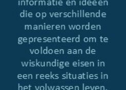 Bookmark3_BE - Alledaagse wiskunde PIAAC_1