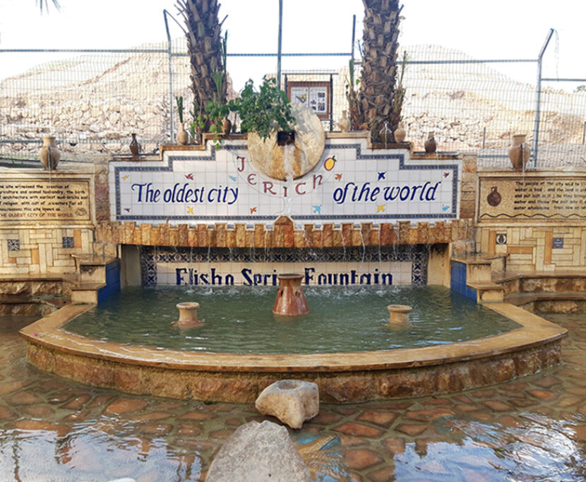 Button Module History