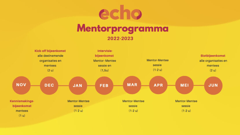 echo mentorprogramma