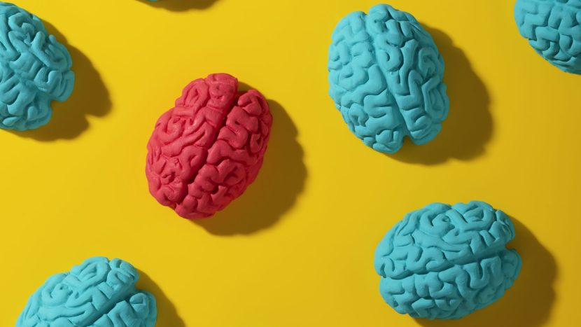 Lunchbijeenkomst Neurodiversiteit