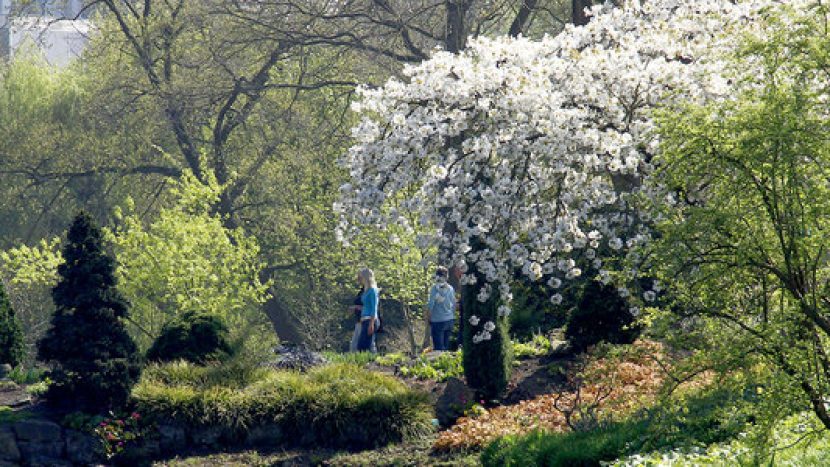 Ontwikkel jezelf in de natuur op het Ontwikkelfestival 2023