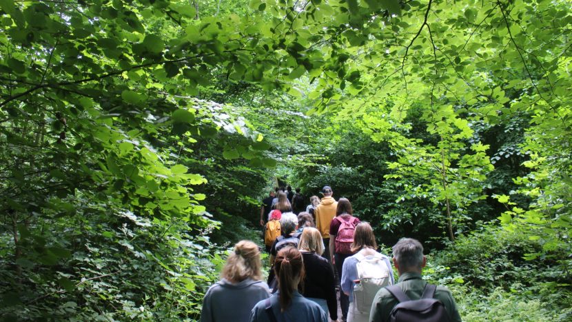 Vogelen tijdens de biodiversiteitsmaand