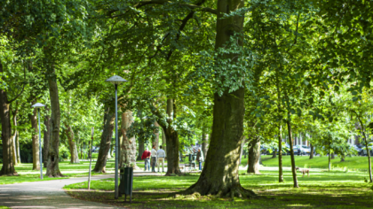 Sprekers Dag van de Duurzaamheid 2025