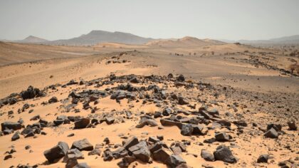 Schreeuw om hulp vanuit Gambia – Green Talks