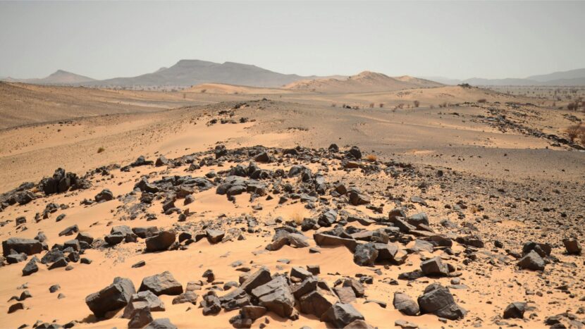 Schreeuw om hulp vanuit Gambia – Green Talks