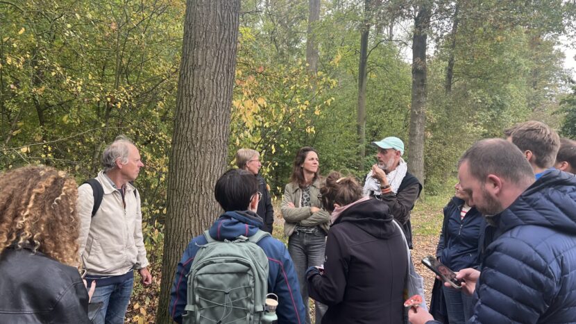 Herfstboost: paddestoelenexcursie