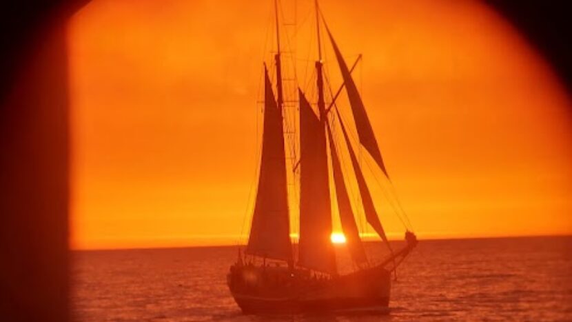 d8cf1b3a-37c6-40b4-b7ad-083dd808d45e