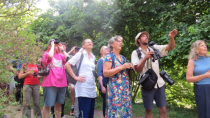 BioBlitz Lookback – Birding with Mattie