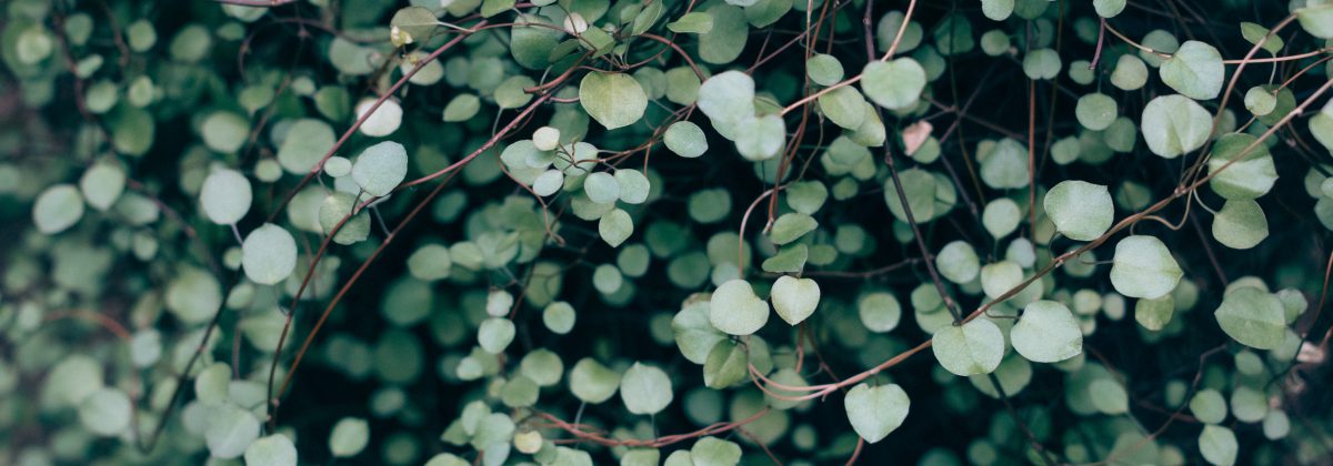 vadim-l-10940-unsplash