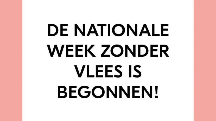 Check onze recepten tijdens De week zonder vlees ’21