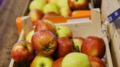 Free smoothies and ginger shots at our office!