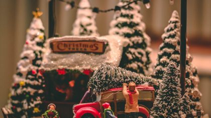 Green Office buys a sustainable Christmas tree