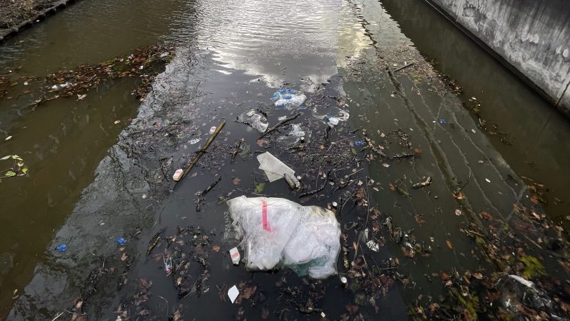 No Plastic Walk