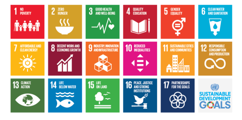 787px-Sustainable_Development_Goals_chart.svg