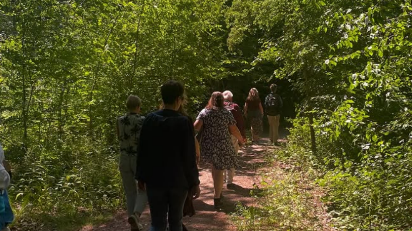 BioBlitz Lookback – Rondleiding Amelisweerd
