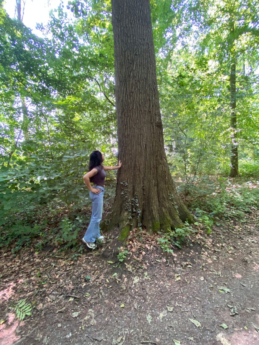 WhatsApp Image 2025-06-17 at 15.19.17