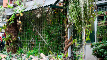 Van grijs naar groen: netwerkevent over marketing & duurzame transitie