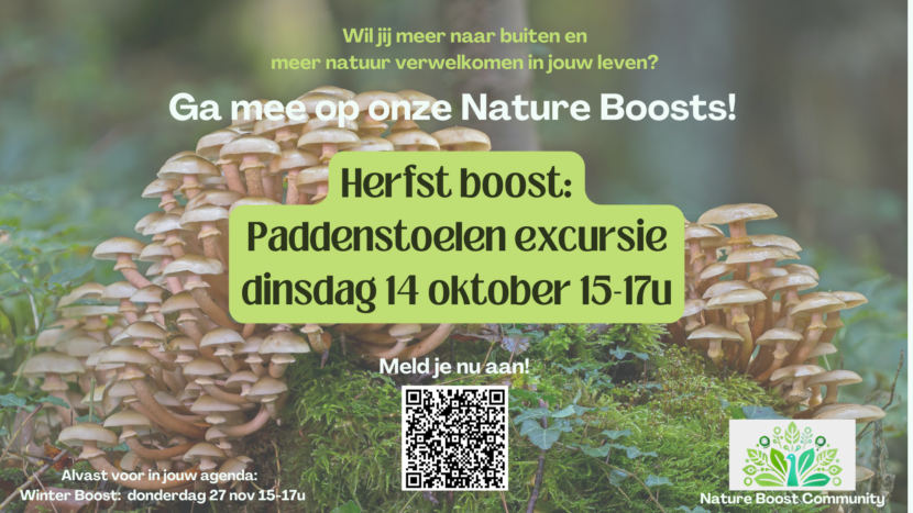 Herfst boost – Paddestoelenexcursie