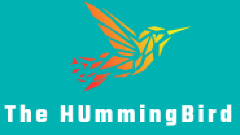 Honoursproject: Magazine HUmmingbird