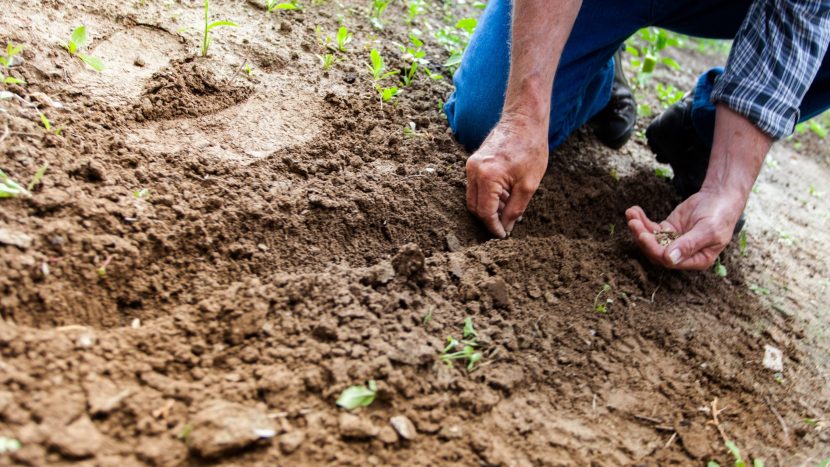 Praatplaat Samen Integraal Bouwen aan Participatie