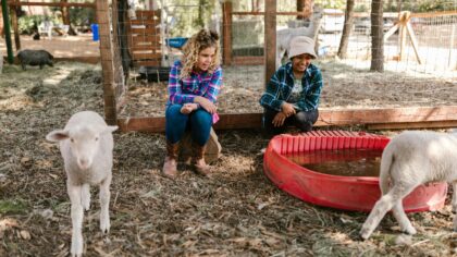 Werkconferentie – Iedereen in de wijk.. en dan? | 25 november 2025