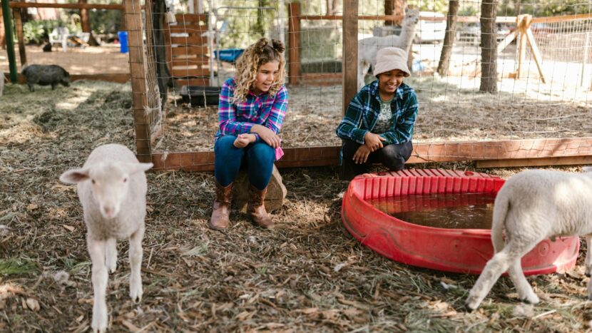 Werkconferentie – Iedereen in de wijk.. en dan? | 25 november 2025