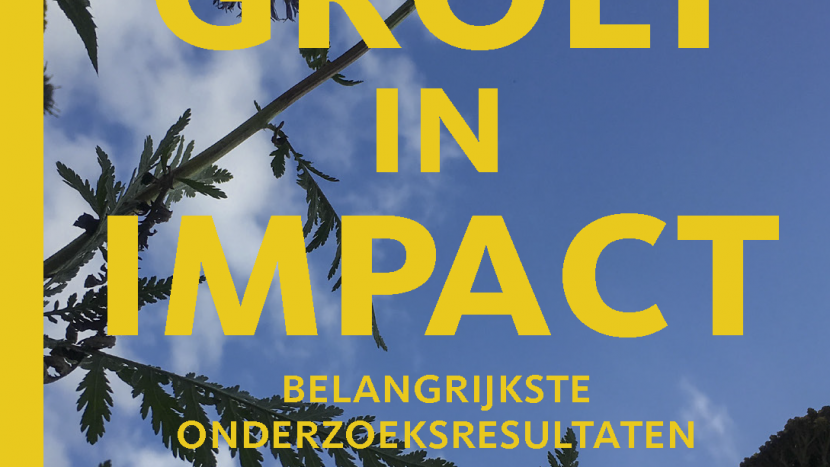 Opschalen van sociale ondernemingen: groei in impact