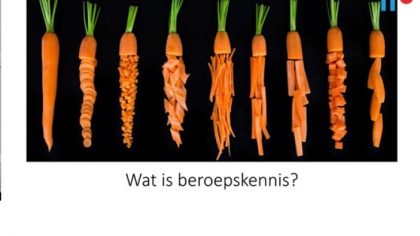 Wenja Heusdens geeft webinar over ontwikkeling beroepskennis bij studenten