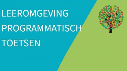 Website Leeromgeving programmatisch toetsen online!