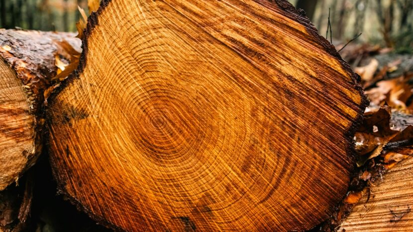 Jaarbeeld en jaarverslag 2025 lectoraat Beroepsonderwijs