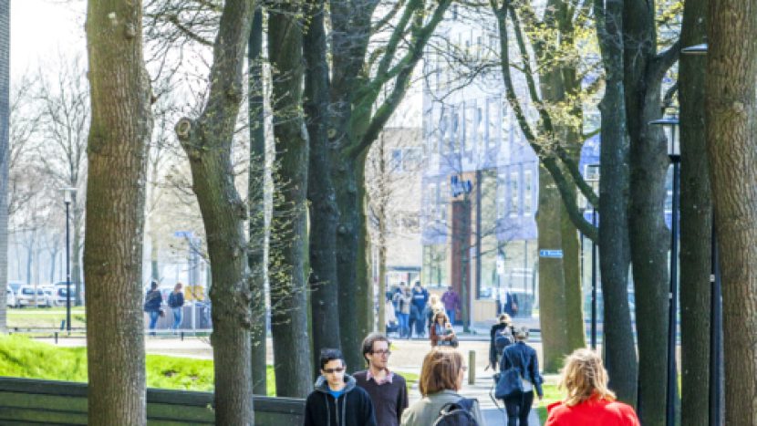 Stadswandeling in het Museumkwartier