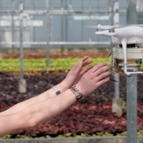 Studenten ontwikkelen drone die gewassen beschermt