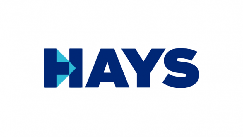 Hays: Workshop Interviewvaardigheden