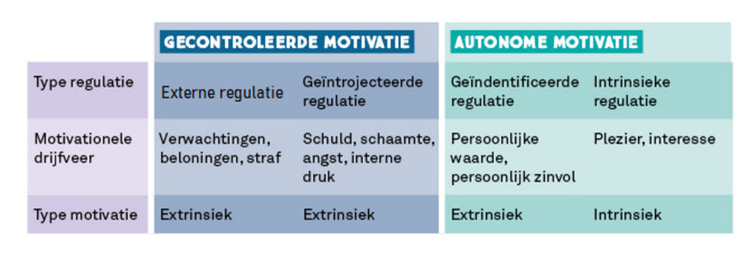 Motivatie theorie