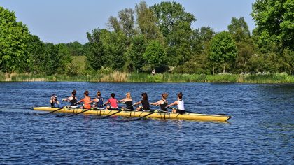 Krachtgericht werken (H25)