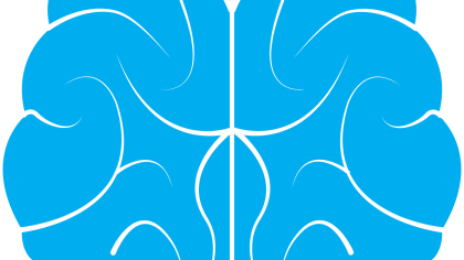 Theorieën over ontstaan en ontwikkeling van delictgedrag (H4)